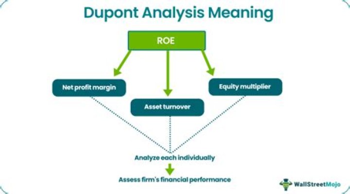 Where can I find DuPont analysis?
