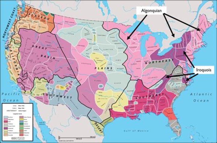Where did the Dutch settled in America?