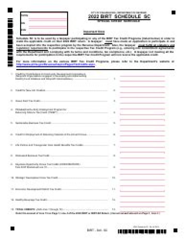 Where do I file Birt EZ?