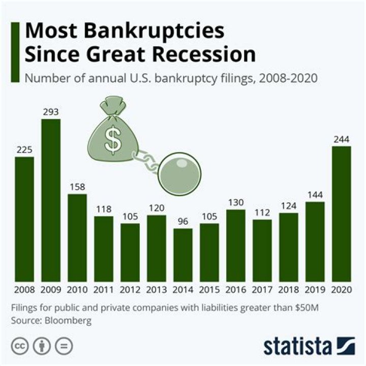 Which investment bank went bankrupt during the financial crisis?