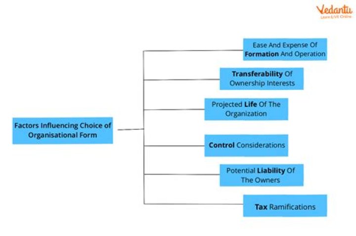 Which type of business organization experiences the least government regulation?