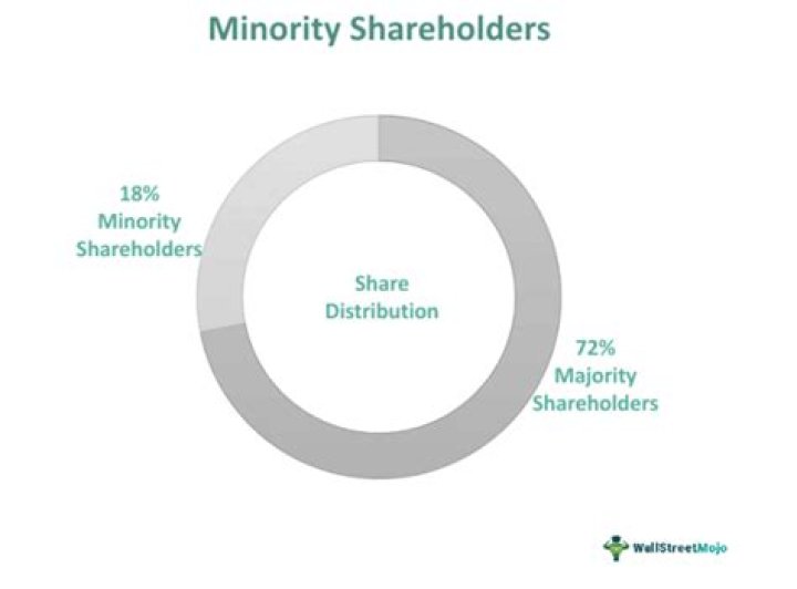 Who are minority shareholders in a company?
