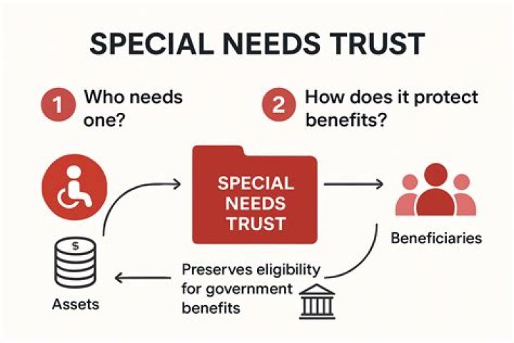 Who can contribute to a supplemental needs trust?