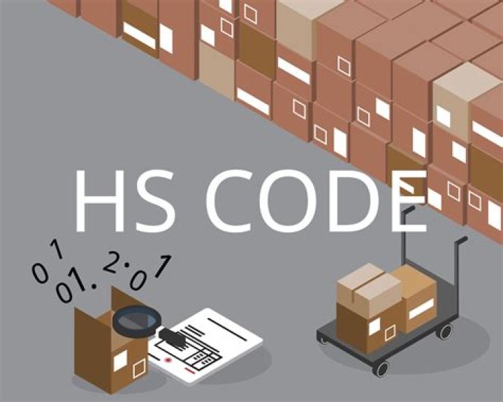 Who is responsible for supplying the HS code is it the exporter or the importer?