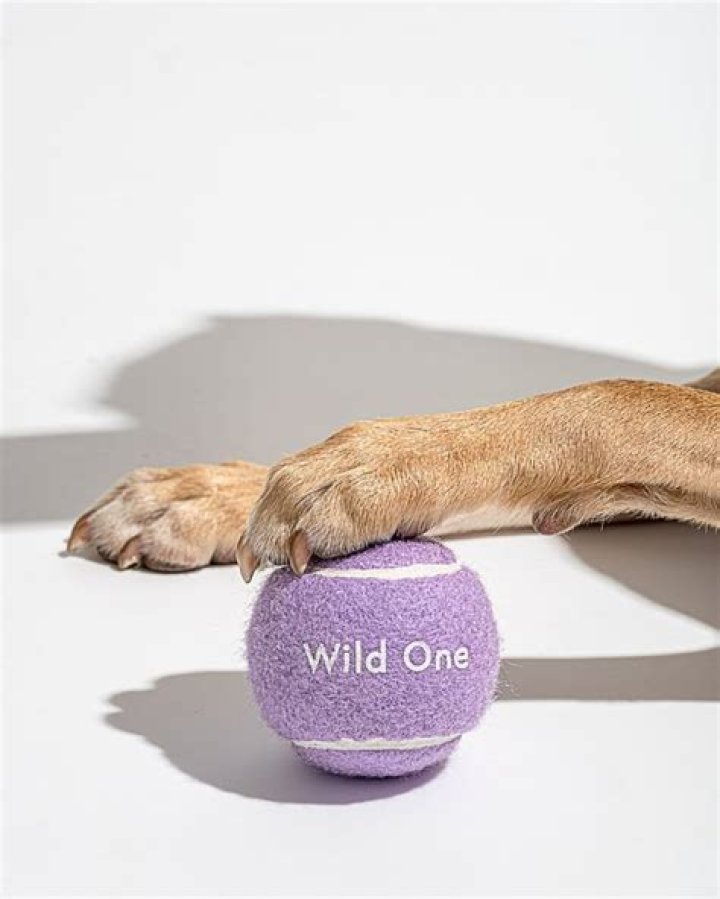 Who owns Wild One dog brand?