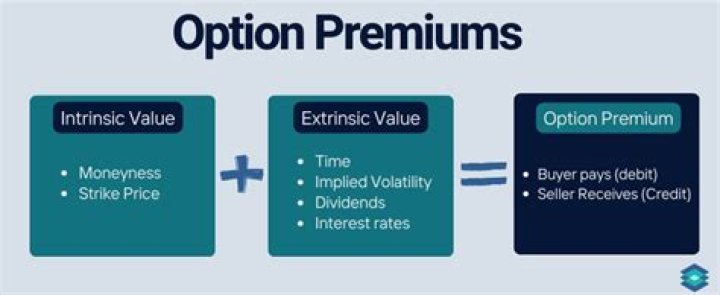 Who pays the premium in option trading?