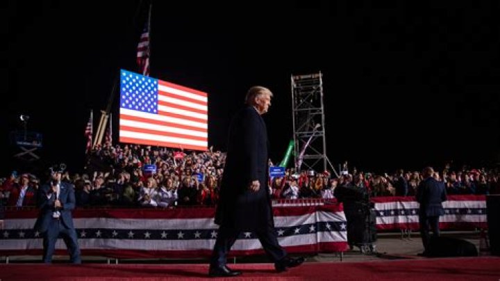 Who performs IRS audits?