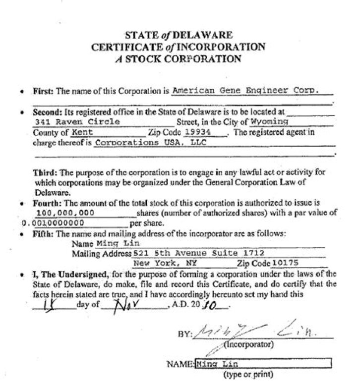 Why do corporation file in Delaware?