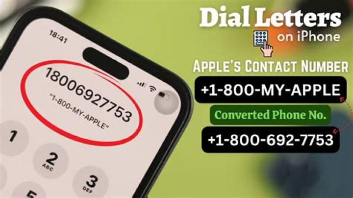 Why do phone numbers disappear from my phone?