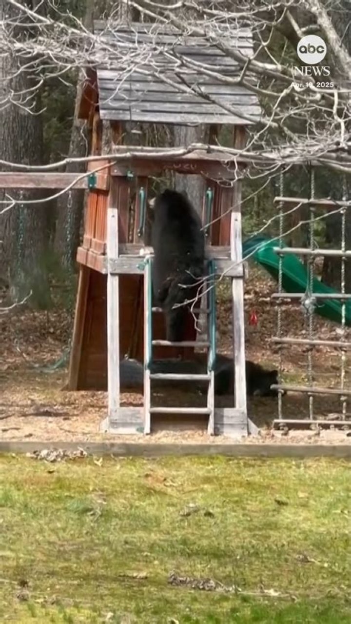 Why do some people live in houses that can be moved?