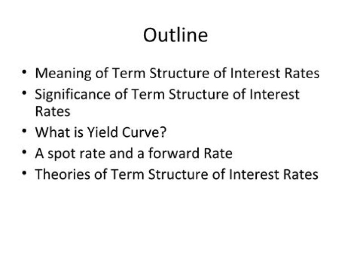 Why does the term structure of interest rates matter?