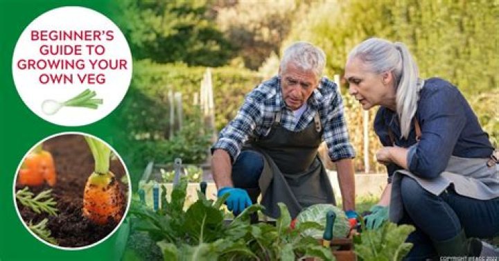 Why is it important to grow your own garden?