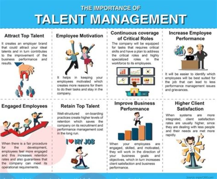 Why is talent important to an organization?