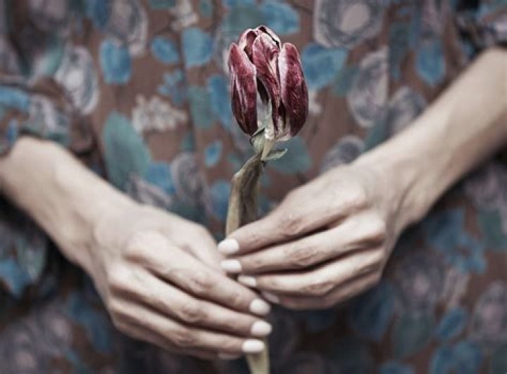 Why the elderly can go downhill after the loss of their partner?